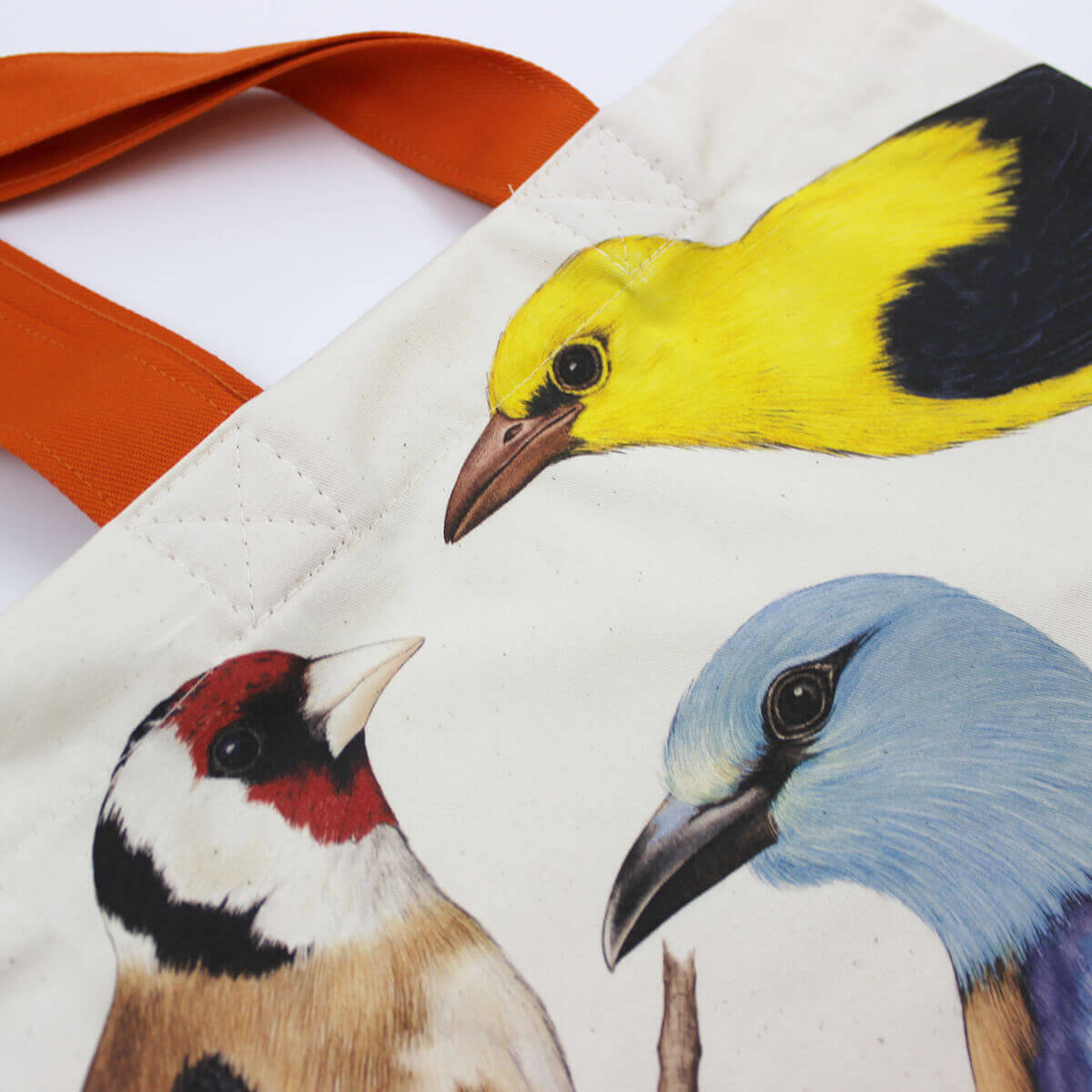 Zbliżenie na ptasią torbę z ilustracjami 4 ptaków