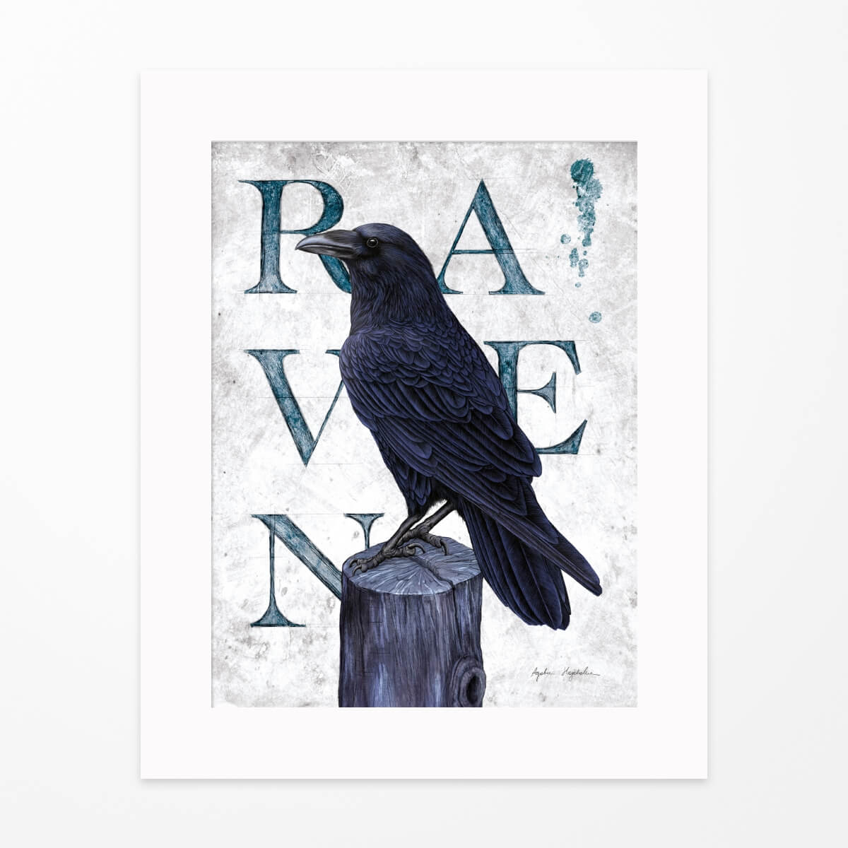 plakat 30x40 kruk raven oprawiony w passe-partout