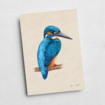 Ilustracja zimorodka na gałęzi w formacie 13x18 cm bez oprawy Tukan Media