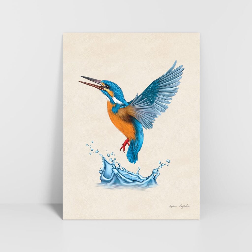 Ilustracja zimorodka nad wodą w formacie 30x40 cm bez oprawy