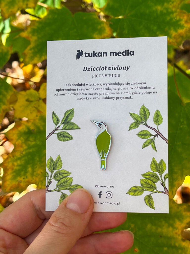Pin na kartoniku dzięcioł zielony Tukan Media