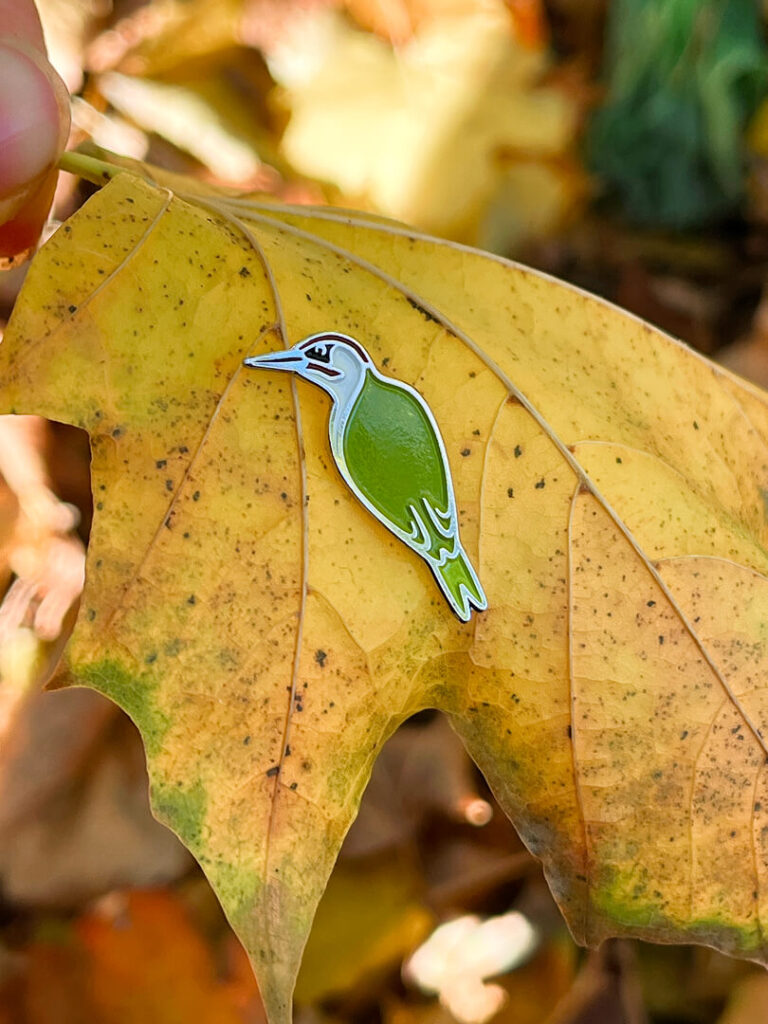 Pin metalowy dzięcioł zielony Tukan Media
