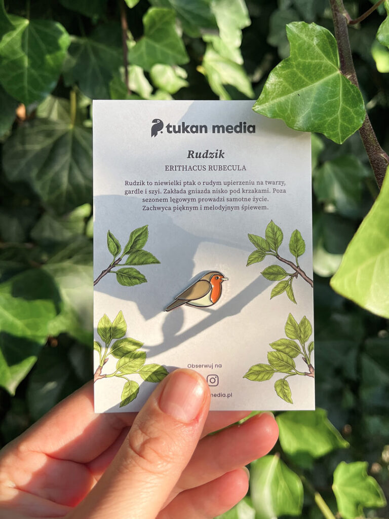 Przypinka ptak rudzik Tukan Media