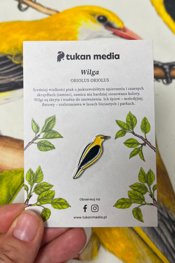 Metalowa przypinka ptak wilga Tukan Media