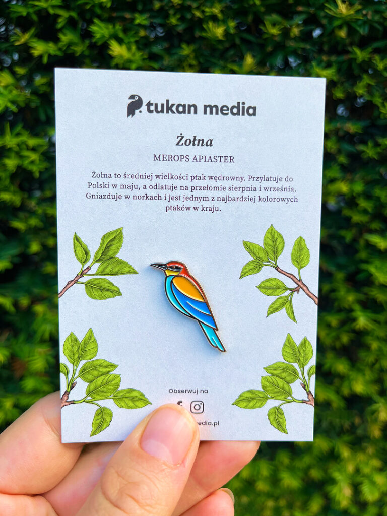 Pin na kartoniku żołna Tukan Media