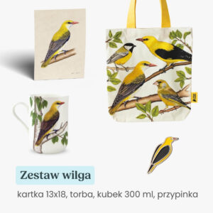 Zestaw prezentowy kubek torba, przypinka, kartka 13x18 wilga Tukan Media