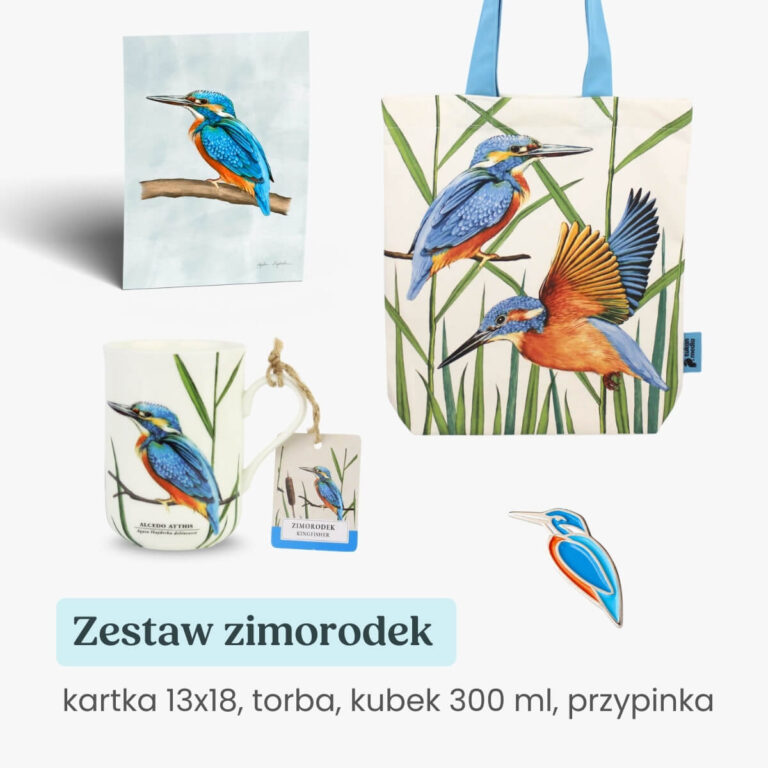 Zestaw prezentowy kubek torba, przypinka, kartka 13x18 zimorodek Tukan Media