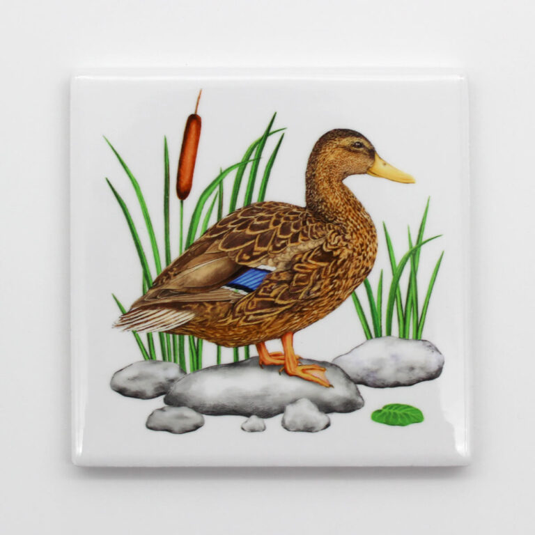 Ceramiczna podkładka pod kubek z ilustracją kaczki krzyżówki Tukan Media