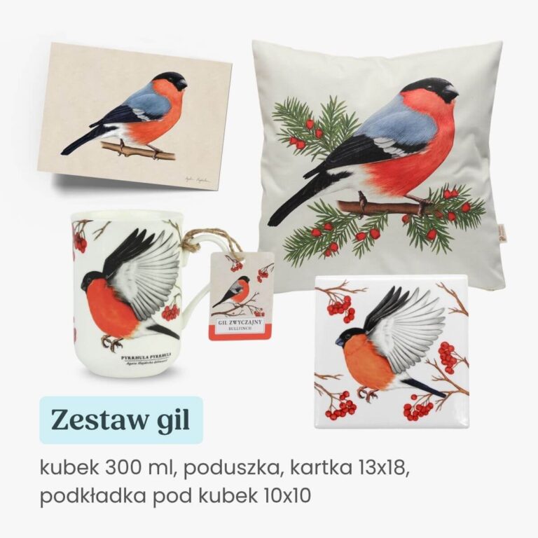 Zestaw prezentowy kubek 300 ml, podkładka pod kubek, poduszka i karteczka 13x18 gil Tukan Media