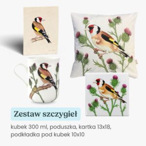 Zestaw prezentowy kubek 300 ml, podkładka pod kubek, poduszka i karteczka 13x18 szczygieł Tukan Media
