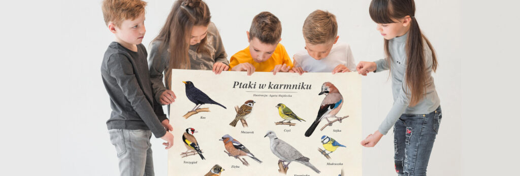 Nowoczesne pomoce dydaktyczne tablica ornitologiczna